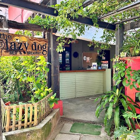 Lazy Dog Bed & Breakfast Balabag  Dış mekan fotoğraf