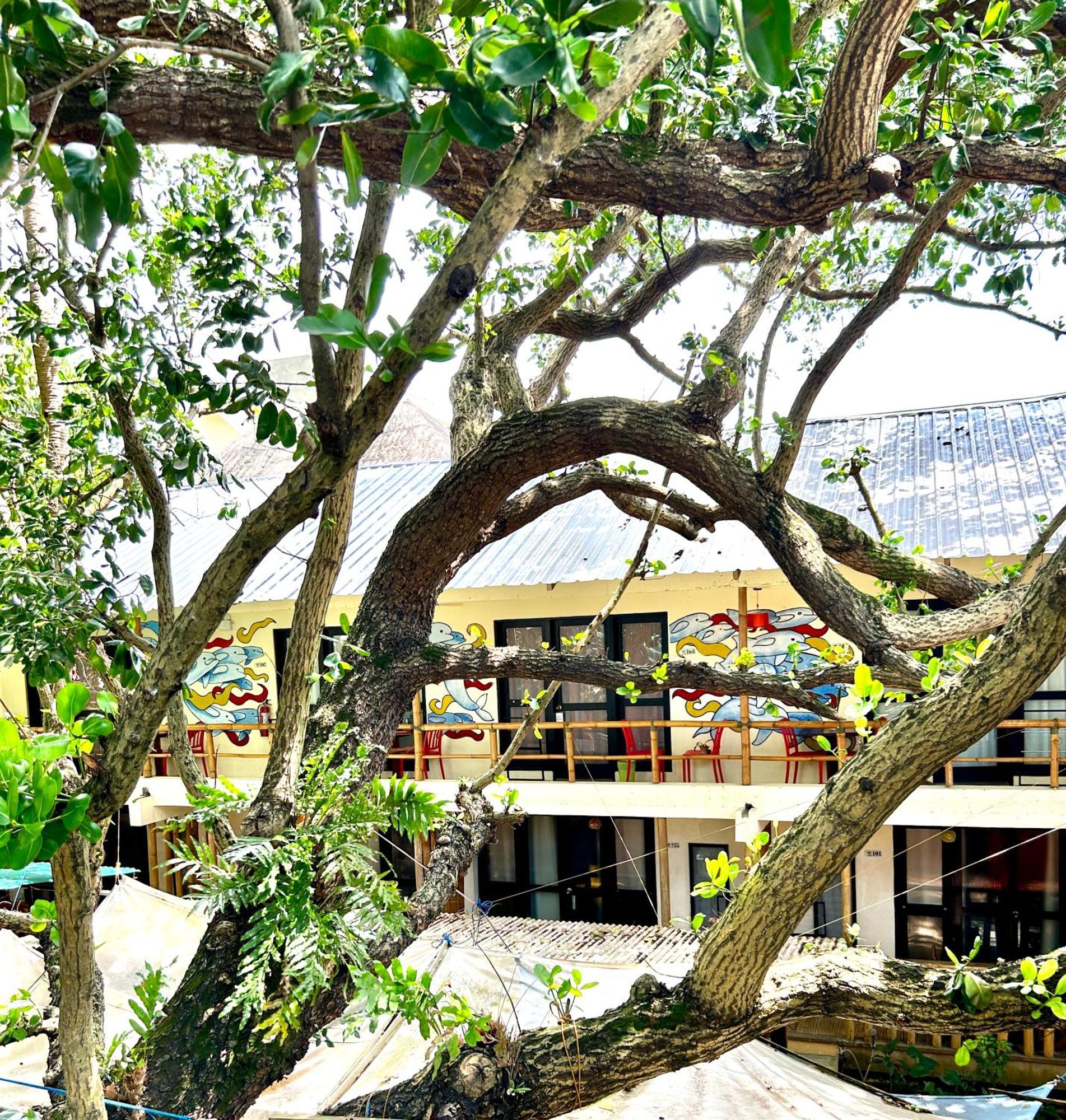 Lazy Dog Bed & Breakfast Balabag  Dış mekan fotoğraf