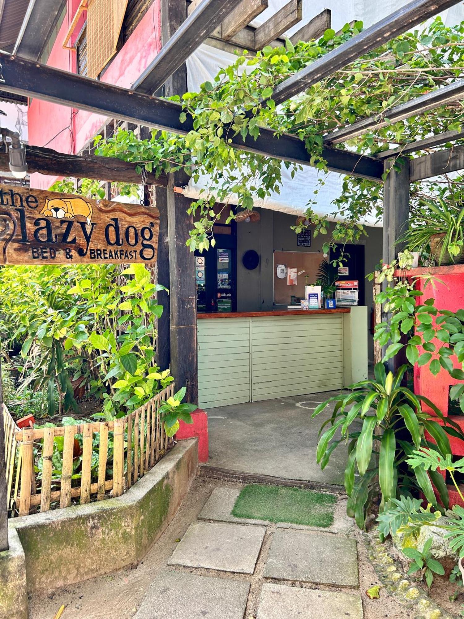 Lazy Dog Bed & Breakfast Balabag  Dış mekan fotoğraf