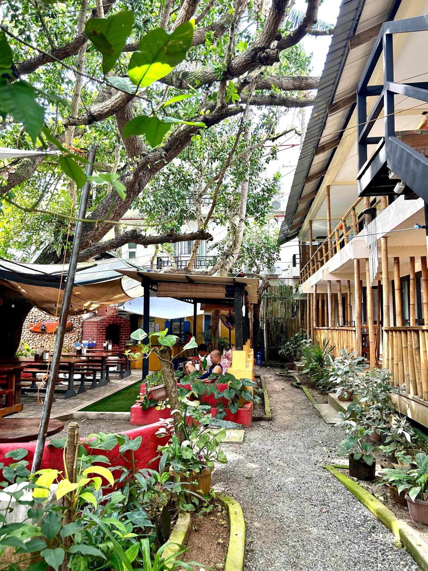 Lazy Dog Bed & Breakfast Balabag  Dış mekan fotoğraf