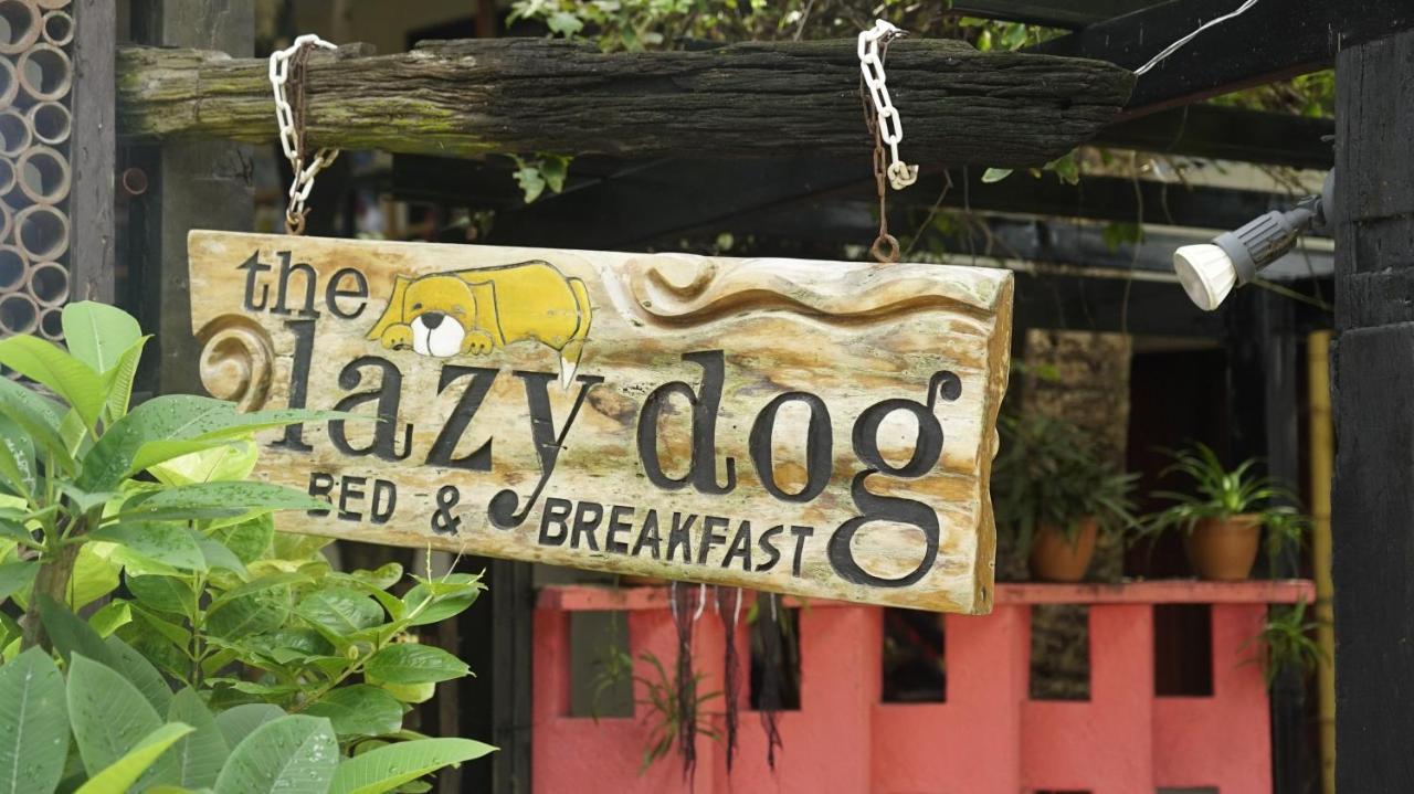 Lazy Dog Bed & Breakfast Balabag  Dış mekan fotoğraf